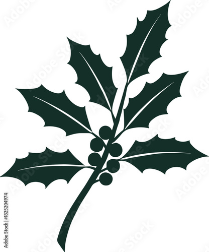 Stylized holly branch with dark green spiny leaves and clustered berries, perfect for winter holiday, Christmas, and festive seasonal decoration themes.