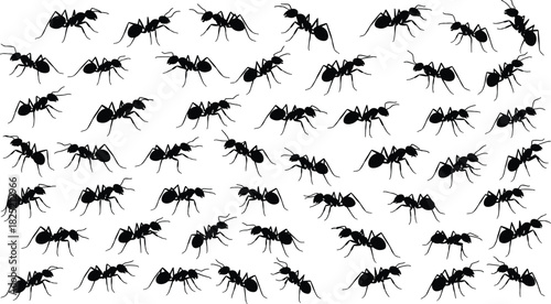 Ants pattern, insect illustration, black ants, seamless texture, nature design, bug silhouette, white background, wildlife motif, crawling insects, vector art