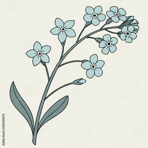 Forget-Me-Not 3