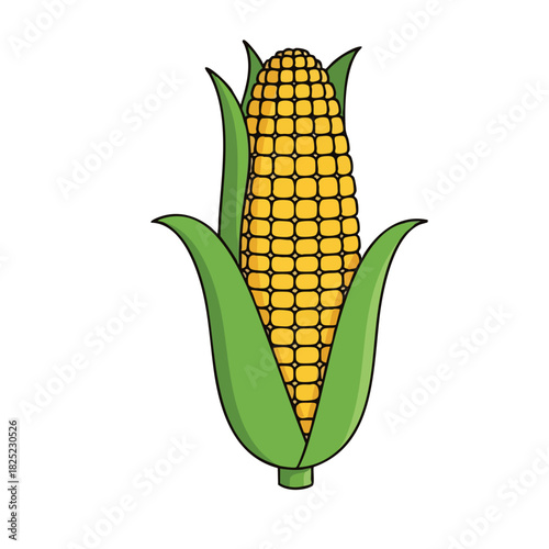 Cartoon Corn Cob with Green Husks and Yellow Kernels, Isolated