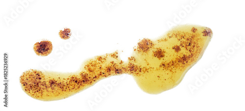 onion oil stains on transparent background