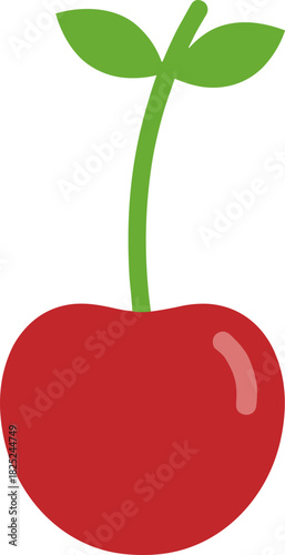 Simple Flat Design Cherry Fruit with Stem and Leaves Illustration