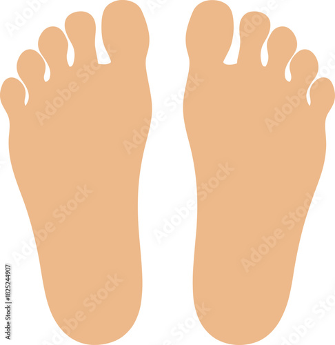 Flat Style Human Foot Sole Anatomy and Digital Art Illustration