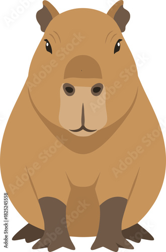 Cute Flat Illustration Capybara Rodent Animal Character Simple Design