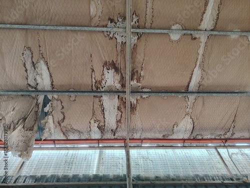 Wet and sagging beige ceiling material showing extensive brown water stains and mold.