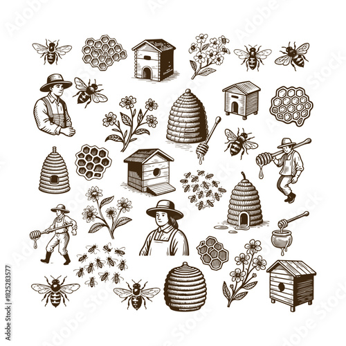 Vintage engraving illustration set of beekeeping and honey production elements