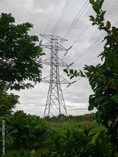 Transmission Tower Framed by Trees