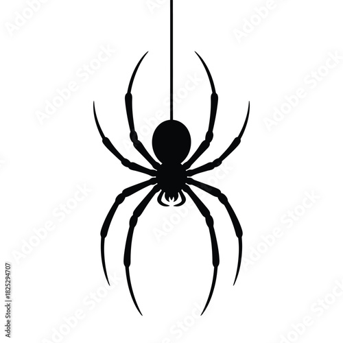 Black silhouette of a spider hanging on a thread