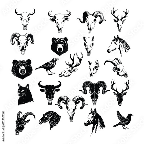 Vintage engraving illustration set of various wild animal skulls and heads