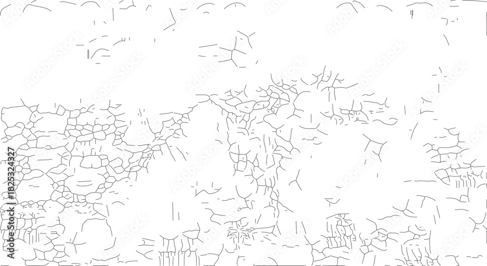 Fototapeta premium Abstract white and gray texture with fine lines and details.