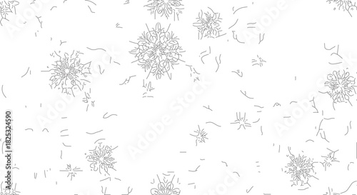 Microscopic view of bacteria and microorganisms under a digital microscope.