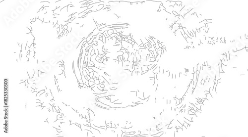 Abstract circular pattern with intricate lines and organic shapes.