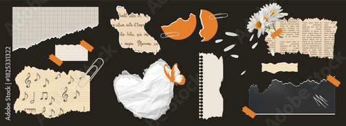 Set of paper cut elements, torn newspaper, daisy, notepad sheet, retro newspaper, butterfly, music notes quotes, Trendy vector collage set, retro grunge stickers.