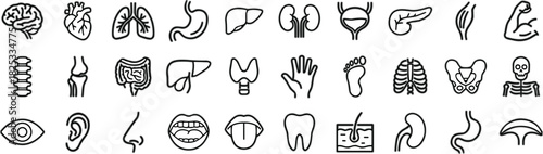Human anatomy icon set, body parts, medical symbols, organ illustrations, vector graphic, black, minimal, educational, healthcare, art