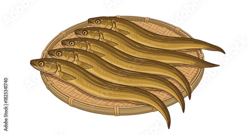 An illustration of five fresh, whole eels traditionally arranged on a round woven bamboo tray, ready for culinary preparation.