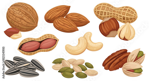 A healthy and diverse collection of various nuts and seeds, including almonds, walnuts, cashews, peanuts, and pistachios.