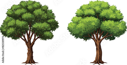 Green leafy tree illustration, natural forest foliage, eco landscape design, environmental plant drawing, outdoor nature art, cad drawing flat vector illustration