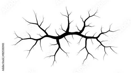 Black Silhouette Of A Branching Cracked Structure Vector Illustration