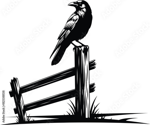 Crow on Broken Fence in Field – Black and White Silhouette Vector Art