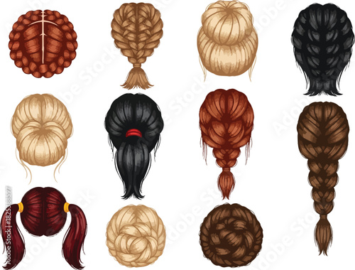 Collection of diverse hairstyles seen from behind showcasing various braiding techniques and hair colors for women