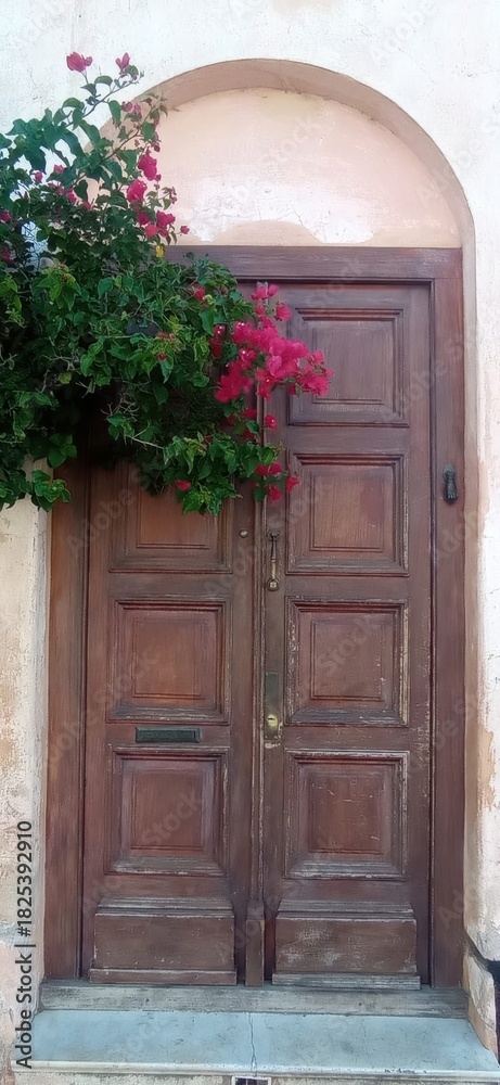 Fototapeta premium Rustic wooden door with an arched frame and vibrant Santa Rita bougainvillea blooms, perfect for décor, architecture projects, travel visuals, or designs seeking a warm, colorful Mediterranean touch.