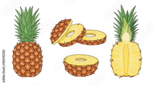 Whole and sliced pineapples showing their textured skin and juicy yellow flesh.