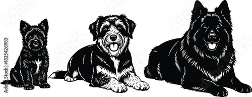 Collection of detailed black and white dog vector illustrations, sitting and lying down, vintage engraving style isolated on white background for pets
