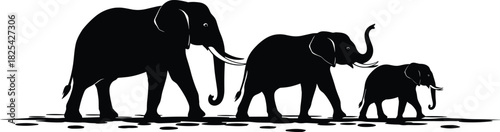Family of three elephants silhouette walking in line, adult, mother, and baby elephant, side view vector illustration of wildlife animal herd migration, isolated on white.