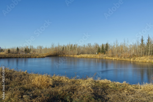A Sunny Autumn Day at Pylypow Wetlands