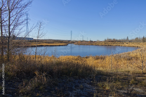 A Sunny Autumn Day at Pylypow Wetlands