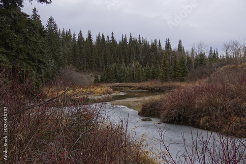 A Cloudy Autumn Day at Whitemud Park