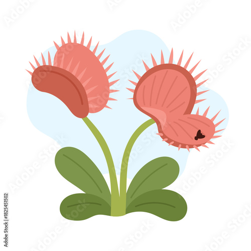 Venus flytrap showing vibrant curved traps, venus flytrap capturing insect in playful vector form, bold carnivorous shapes adding trendy botanical aesthetic perfect for modern creative nature projects