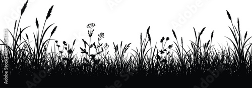 Silhouette of wild grass and flowers in nature field, meadow foliage vector border, black botanical landscape isolated on white background