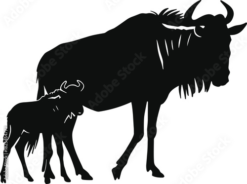 Silhouette of wildebeest with baby calf, African wildlife, mother and child animal, safari animal pair, wild nature, savanna species scene