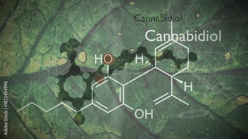 Cannabidiol or CBD molecular structural chemical formula. Futuristic science backdrop. Pharmacology concept