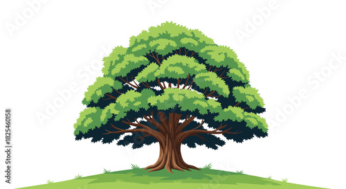 A detailed illustration of a large, lush green tree with a sturdy trunk standing on a grassy hill against a clear white background.