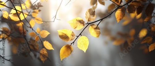 Golden Autumn Leaves Glistening in Soft Morning Light Against a Beautiful Misty Forest Background