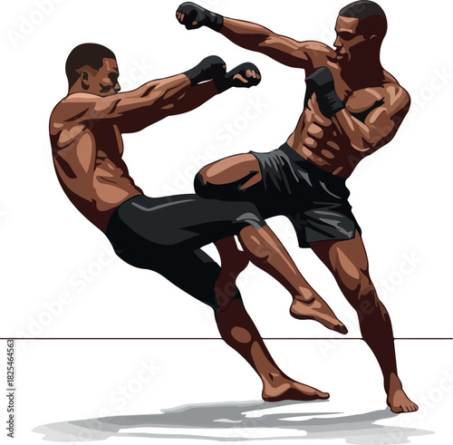 Two Men Performing Martial Arts Combat Fight In Action