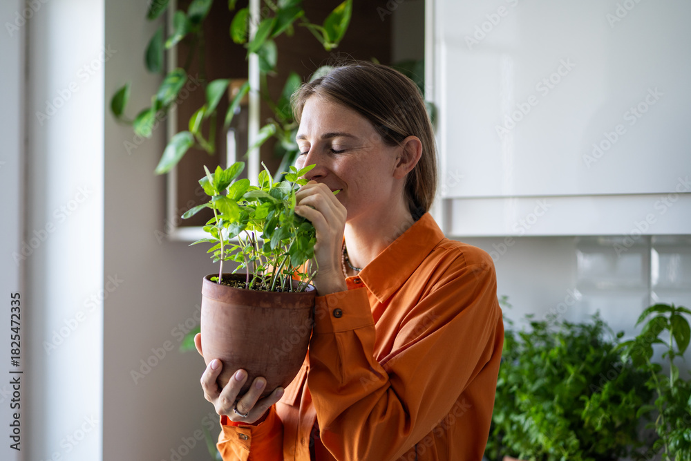 Fototapeta premium Woman with closed eyes enjoying smelling green mint plant on kitchen at home. Gardener amateur plant lover growing fresh herbs. House planting, gardening eco ecology products ingredients for cuisine.