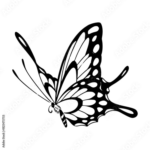 elegant butterfly silhouette with decorative wings