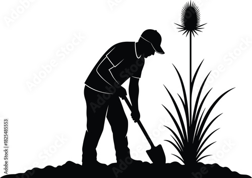 Black silhouette vector illustration of a male gardener digging soil with a shovel near a plant, agriculture work concept, isolated on white background.
