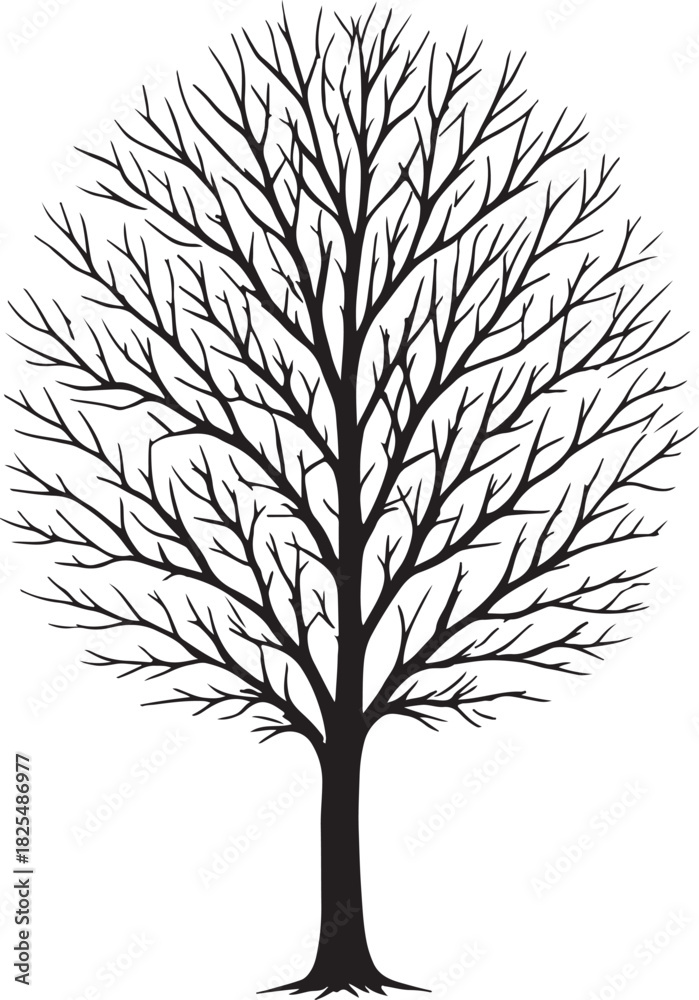 Obraz premium Tree Silhouette Vector
