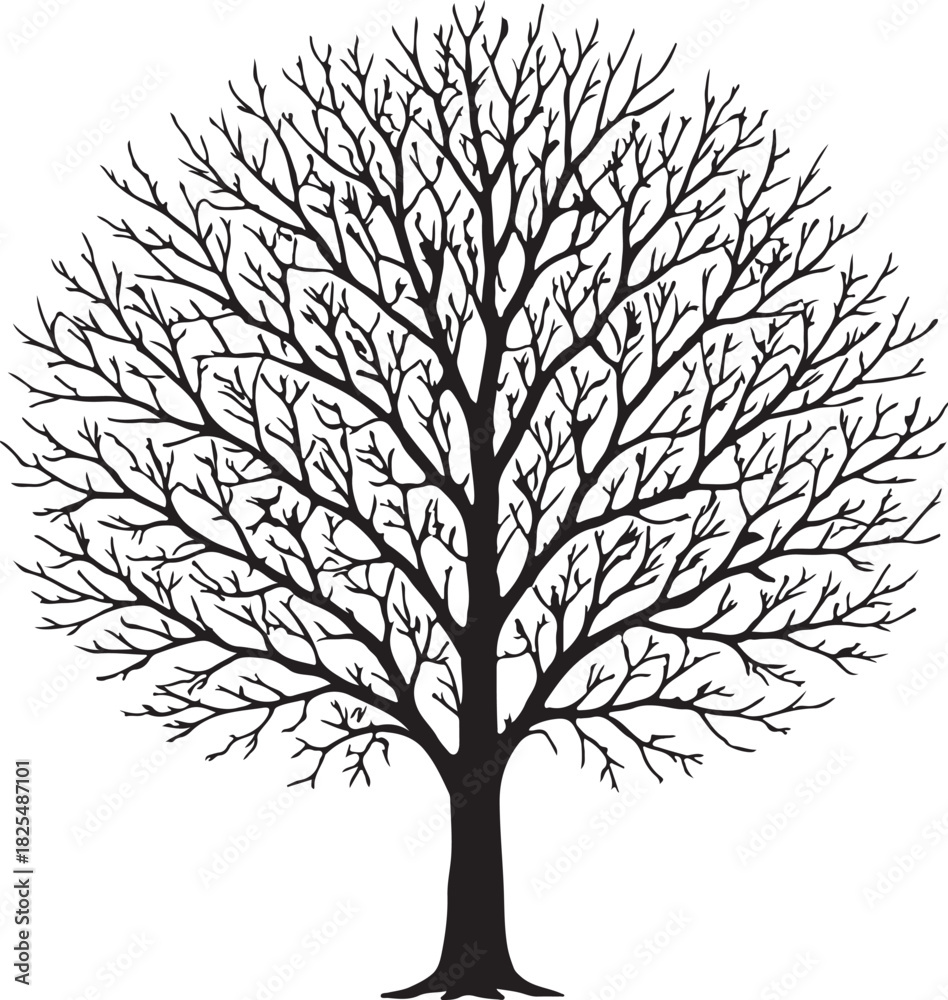 Obraz premium Tree Silhouette Vector