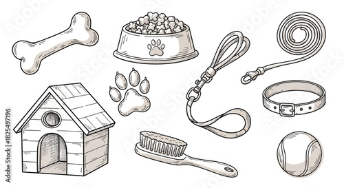 A detailed illustration showcases various dog-related items, including a bone, food bowl, leash, collar, house, paw print, brush, and tennis ball.