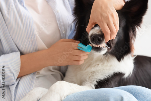Owner brushing teeth of cut...