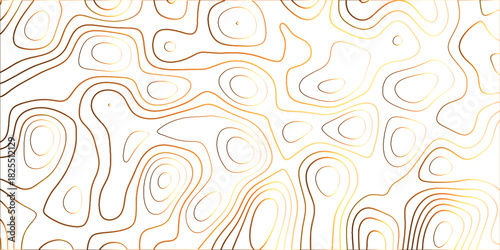 Topographic canyon geometric map relief texture with curved layers and shadow .Abstract geometric topographic contour map background. Panorama view gradient multicolor wave curve