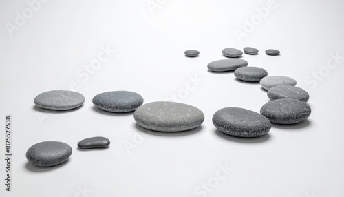 Gray stones arranged in a curved path on a white surface