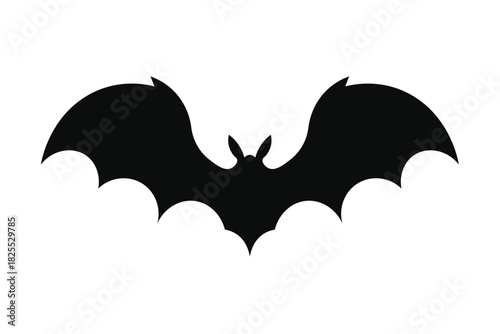 Illustration of bat silhouette isolated on white background