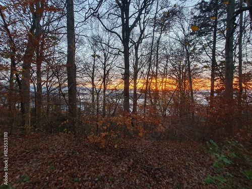 Hochnebel und Sonnenuntergang beim Uetliberg. Der Uetliberg ist der Hausberg von Zürich und ein beliebtes Naherholungsgebiet.