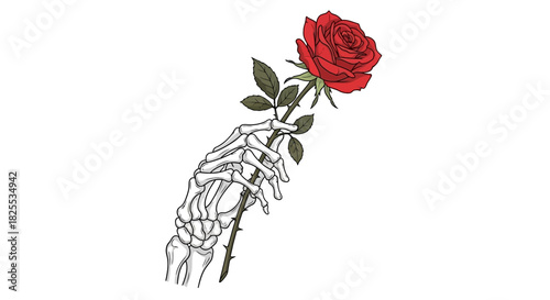 Striking skeleton hand delicately holding vibrant red rose for timeless love or gothic romance themes, perfect for edgy designs or meaningful symbolism